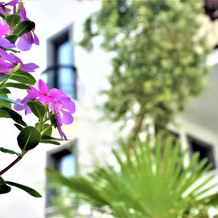 Modern Life Bodrum Hotel