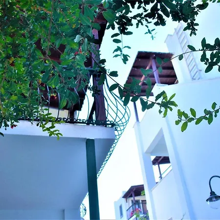 Modern Life Bodrum גומבט