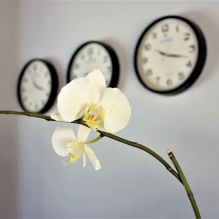 Modern Life Bodrum 3* Mugla