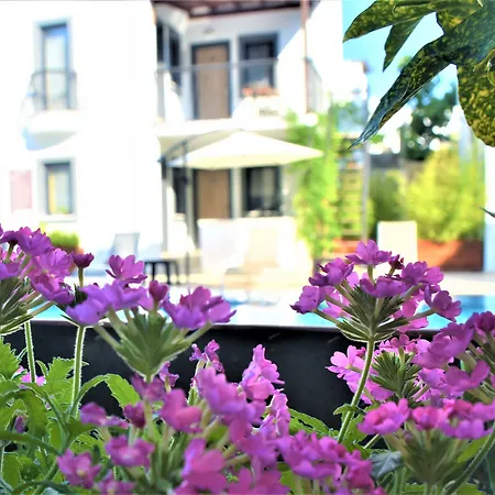 Hotel Modern Life Bodrum 3*